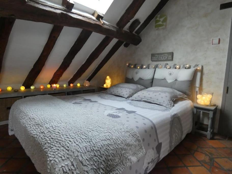 Maison De Charme Pres De Beauval Saint-Cyran-du-Jambot ภายนอก รูปภาพ